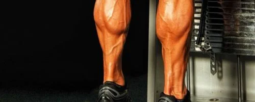 Calf Raises Exercise